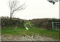 Field access track near Trelyll Farm in PL27 7LQ
