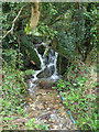 Waterfall, Pawton Mill in PL27 7LL