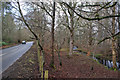 River, road and woodland in IV14 9FA