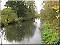 River Lambourn as seen from the Bridge. in RG14 3DB