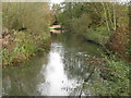 River Lambourn looking towards the Bridge in RG14 3DB