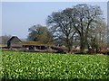 Farmland and barn, Bradfield in RG7 6AY