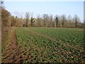 Farmland, Bucklebury in RG18 9UR