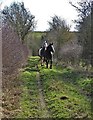 Horses running to Flamstead House Farm in DE7 6EE