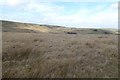 Grassland at High Moss in Helmshore Ward