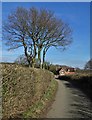 Approaching Smalley Lodge on Bell Lane in Smalley