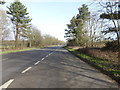 Looking north from a layby on the A10 Lynn Road in PE34 3HZ