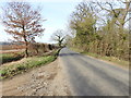 Thieves Bridge Rd. from the entrance to Thieves Bridge Farm in PE33 0RL