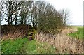 Footpath Near Hutton in PR4 5TF