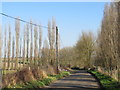 Buckland Road, near Higham in Cliffe Woods