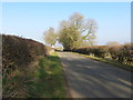 Hedge-lined road between Thoresway and Croxby in Thoresway