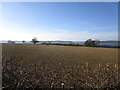 View towards the Hambleton Peninsula in Normanton