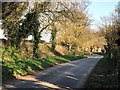 Tree lined lane near Great Walsingham in NR22 6DF
