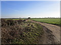 Farm track near Hot Hollow Farm in LE15 8BA