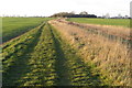 Bridleway by a drain in MK41 7FD