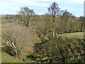 Gully in the lower Rookhope valley in DL13 2AG