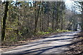 Road through Bratch Copse in SP6 3ED