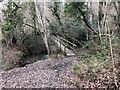 Footbridge over small stream in TN20 6UB