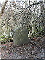 Old Milestone by the A396, Cowridge Bottom, Bampton parish in TA22 9BG