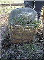 Old Milestone by the A342, Andover Road, Penton Grafton parish in SP11 9BX