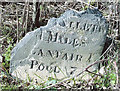Old Milestone by the A458, Heniarth Gate, Llanfair Caereinion parish in SY21 0JS