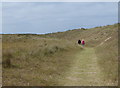 Norfolk Coast Path through the Winterton Dunes in NR29 4BQ