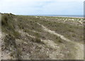 Winterton Dunes National Nature Reserve in NR29 4BQ