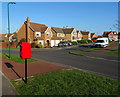Houses on Cranbourne Drive, Redcar in TS10 2TU
