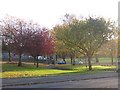 Green space, Dickson Street in Hawick