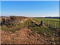 Track from North Calton towards Hodsock in Hodsock