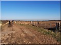 Track towards Hodsock Lodge Farm in Hodsock