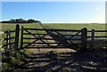 Gateway to field south of Kibworth Road in LE8 0PE