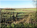Stile on Kibworth Road in LE8 0PE