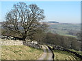 Track above Old Vicarage Farm in DL11 7LH