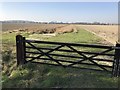 New gate to farmland in PE33 9NW