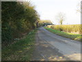 Tothby lane near to Spoil Bank in Rigsby with Ailby