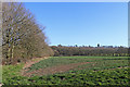 Crop field on Patshull Old Park in WV6 7HY