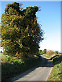 Looking west on Hall Road in NR20 4BP