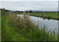 Lancaster Canal near Snape Wood Farm in PR3 0JT