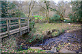 Taunton Deane : Small Stream in EX15 3TT