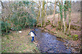 Mid Devon : Small Stream in EX15 3TT