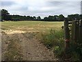 Path towards Corker's Lane in RG8 0UT