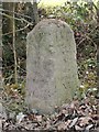 Old Milestone by the B1115, Waldingfield Road, Chilton in CO10 0PZ