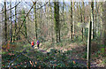 King's Wood, Tylers Green in HP13 7XU