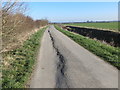 Lane suffering a severe case of subsidence as it travels alongside the New Gayton Engine Drain in Gayton Le Marsh
