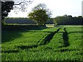 Farmland, St Mary Bourne in SP11 6JQ