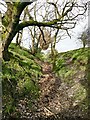 Public footpath in a hollow in SK14 6DU