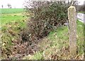 Honingham ROC Post - remains of fence in NR9 5DH