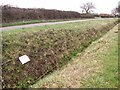 Drainage ditch beside Barnham Broom Road in NR9 5DH