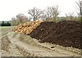Mixed manure in a field beside Colton Road in NR9 5BB